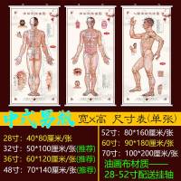 中医图解背部人体经络穴位图大挂图养生馆宣传画 14经单人版[14张套装] 52寸:80x160厘米油画布[加装铝合金挂轴