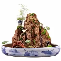 吸水石假山盆景上水石微景观假山石头奇石原石观赏石桌面装饰摆件 25-30cm吸水石含28cm白色圆盆