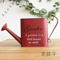 放心购 简约铁艺壁饰花洒田园装饰花桶墙面装饰壁挂花器挂墙铁皮插花花筒 红色(此款不防水)