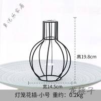 放心购 ins北欧铁艺花架试管透明玻璃水培几何形状插花器家居装饰摆件 灯笼花插-大号