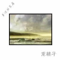 放心购 自然风景现代装饰画 有框单幅卧室客厅装饰画长方形风景喷绘油画 AS15702 80X120CM