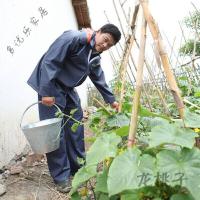 放心购 PVC加厚丈青户外劳保建筑水产渔业分体雨衣