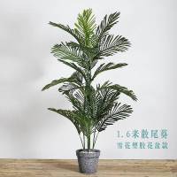 北欧风仿真植物盆栽 ins网红绿植装饰散尾葵客厅假花大型落地树 盆栽摆件 1.6米散尾葵白色草编花篮款