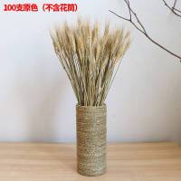 天然麦穗干花花束 开业大麦田园装饰礼品拍摄道具稻穗干花真花 黄色麦穗1000支[不含花筒]