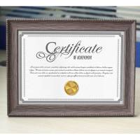 证书框营业执照框定制 复古正本a3保护套 学生奖状摆台裱框架 荣誉相框画框挂 复古灰白色 A3(29.7X42cm)挂墙