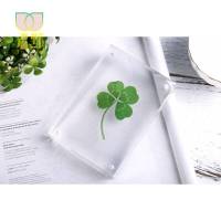 野生幸运四叶植物标本趣味微景观绿色创意圣诞迷你植物相框 单4叶幸运草透明款