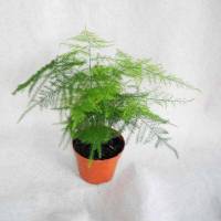 西湖园林陶瓷花瓶装饰品客厅茶台桌艺古风功夫茶道创意房子小摆件 有孔房子花瓶01不含花