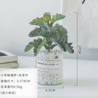仿真植物盆栽室内假花多肉仙人掌北欧装饰小摆件ins绿植假盆景 大玻璃杯+万重山