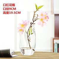 圆形透明水培玻璃花瓶 大号铜钱碗莲水仙球花盆鱼缸玻璃 金鱼缸 加厚大号25鼓缸送营养液