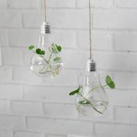 悬挂灯泡欧式创意玻璃花瓶透明水培花瓶玻璃花器现代客厅装饰花瓶 双孔灯泡4个+麻绳