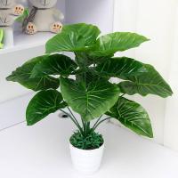 仿真植物假绿植花艺盆栽塑料花办公室阳台会议桌装饰假花12叶小盆景花园艺 12叶滴水观音 含盆含小草(白盆儿)