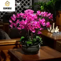 蝴蝶兰仿真花花艺套装公司大厅酒店大堂摆件家居客厅假花装饰花摆桌上的SN6857 599十枝蝴蝶兰紫色+灰盆（送防刮花垫）