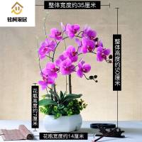仿真花蝴蝶兰盆栽摆件假花绢花室内装饰花束客厅餐桌摆设花瓶花艺摆桌上的SN0878 139三枝蝴蝶兰紫色+方盆