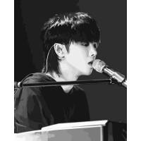 diy数字油画照片定制人物华晨宇手工手绘涂色填色油彩画 华晨宇(2) 50*65绷好内框