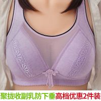 女士背心式无钢圈聚拢纯色棉质内衣薄款全罩杯大码舒适防走光文胸