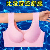 运动内衣女无钢圈聚拢美背文胸罩防震跑步睡眠无痕中厚款背心式