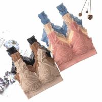 精选款蝴蝶花纹裹胸桑蚕丝q弹乳胶内衣无钢圈美背文胸