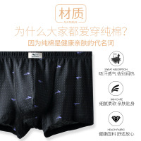 男士内裤男平角短裤头全棉纯棉四角裤透气舒适宽松版土大码