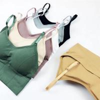 网红运动内衣女学生韩版无钢圈聚拢文胸防下垂无痕吊带背心抹胸罩