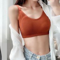 [80-175斤]美背抹胸运动防震无钢圈聚拢文胸背心式吊带内衣女