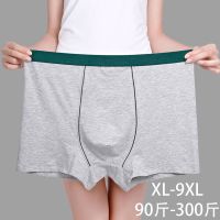 男士内裤纯棉大码红色平角透气3d无缝性感宽松肥佬全棉学生四角裤