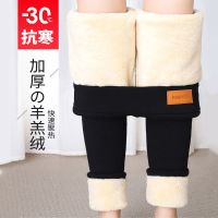 羊羔绒加绒裤高腰打底裤女秋冬外穿抗寒保暖裤棉裤