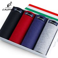 男士内裤纯棉平角内裤男性感舒适四角短裤头男装