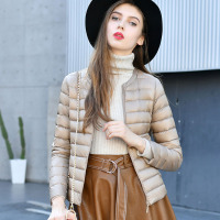 圆领修身羽绒服内胆女短款内穿学生韩版新款轻薄打底加厚无领外套