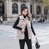仿羊羔毛马夹女短款秋冬新2020皮毛一体背心坎肩外穿无袖马甲外套