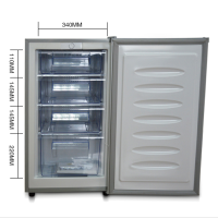 70/120升全冷冻冰箱单门小型冷冻柜立式母乳茶叶冷冻箱家用小冰箱|全冷冻120
