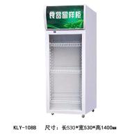 冷藏保鲜幼儿园食品留样柜带锁餐厅食堂家用小冰箱商用展示留样柜|53*53*140B