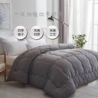 四季加厚保暖被子冬被被学生宿舍单双人秋冬被子冬被芯子棉被