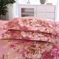 枕套一对装拉链式信封式单人磨毛加大成人枕头套枕头皮床上用品