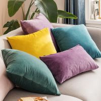 高档天鹅绒抱枕靠枕沙发靠背垫车内客厅枕头男生靠垫办公室抱枕套