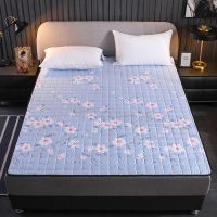 四季通用床垫床护垫可机洗床褥子塌塌米防滑保护垫单双人学生宿舍