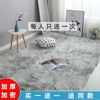 加厚长毛客厅简约现代茶几地毯卧室房间可爱床边地垫飘窗毯可定制