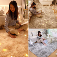 北欧地毯卧室客厅满铺可爱网红同款房间家用床边茶几毛绒定制