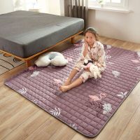 抗菌床护垫塌塌米床垫可折叠床褥子宿舍床垫地铺睡垫抗病毒野餐垫