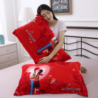 珊瑚绒枕套一对装冬季1只枕芯套珊瑚绒毛绒法兰绒枕头套单人枕用