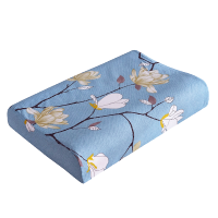 纯棉乳胶枕套记忆枕头套单人50x30儿童单个40x60x40大人一对装拍2