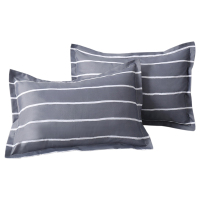 枕套一对装单人学生宿舍卡通韩式可爱女生单个枕头罩一只装枕芯套