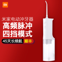 电动冲牙器白色顺丰快递|电动冲牙器洗牙便携式洗牙器牙齿结石水牙线家用口腔清洁A1