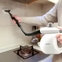 高温蒸汽清洁机家用厨房油烟机神器高压清洗机工具专业消毒T8