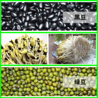 黑豆+绿豆各2斤(豆芽专用种子)|豆芽罐家用麦饭石塑料生豆芽机豆芽菜种植桶发黄豆绿豆芽桶非陶瓷