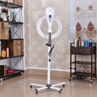 立式电脑版豪华加大脚[白色]|发廊冷烫染发焗油美发加热器烘发机理发店飞碟加速器加热烫发机器K0