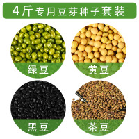 绿豆/黄豆/黑豆/茶豆/各一斤|发豆芽机家用生豆芽罐种植盆芽苗菜育苗盘土陶紫砂麦饭石自制神器