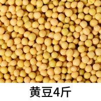 黄豆四斤|发豆芽机家用生豆芽罐种植盆芽苗菜育苗盘土陶紫砂麦饭石自制神器