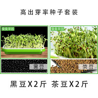 黑豆/茶豆各二斤|豆芽机家用全自动生豆芽神器发芽盆罐芽菜桶黄豆豆牙绿豆发牙菜机C4