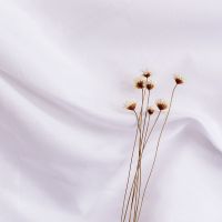 白色 3*2.4米包边不脱丝送钉夹|ins风北欧拍照纯色背景布幕布网店拍摄摄影道具网红挂布F9