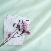 浅绿色 1*2.4米包边不脱丝送钉夹|ins风北欧拍照纯色背景布幕布网店拍摄摄影道具网红挂布F9